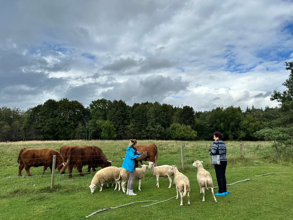 Kupiškio socialinių paslaugų centras - www.kupiskiospc.lt
